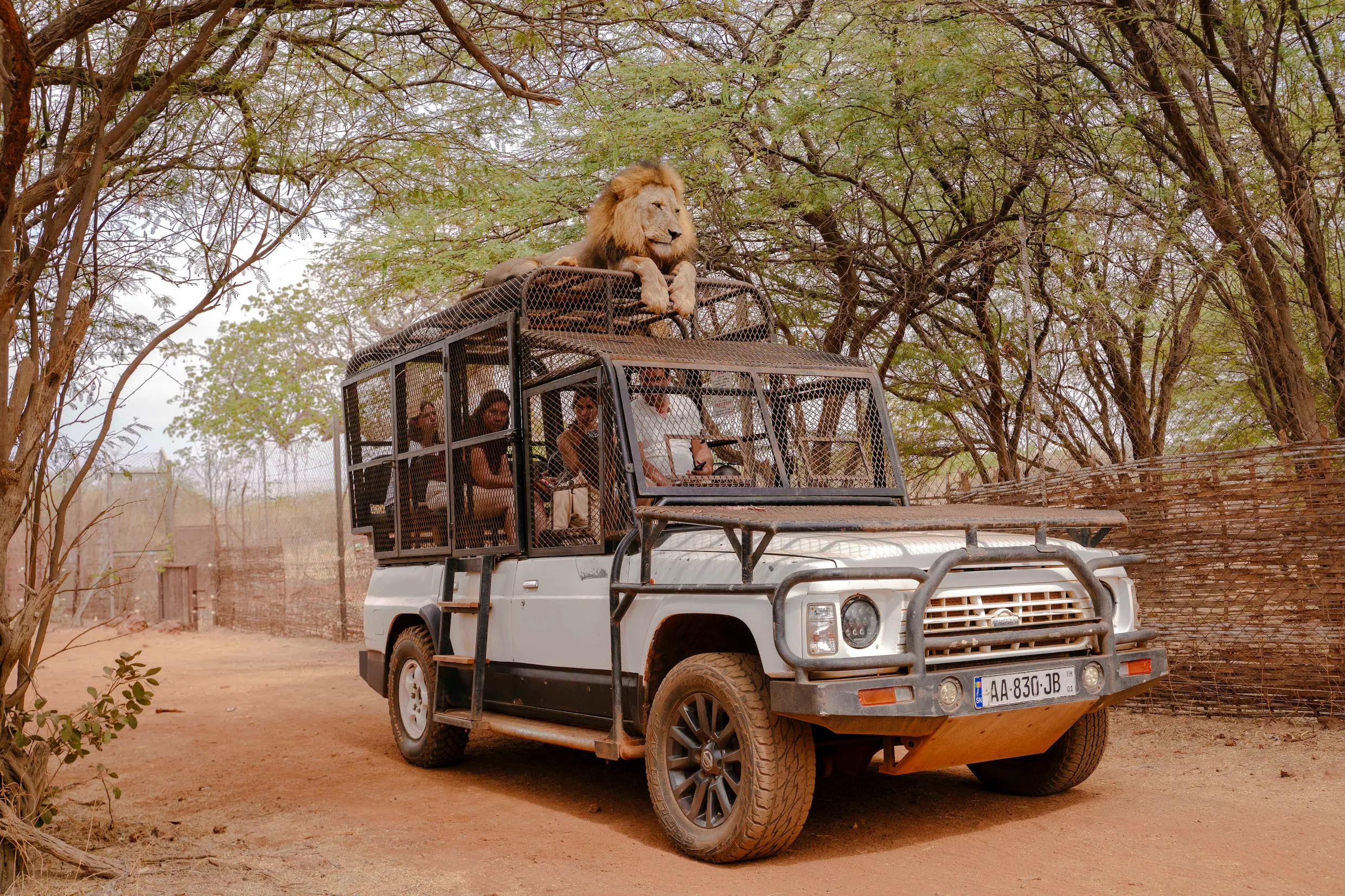 Découvrez le Sénégal